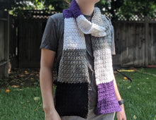 Load image into Gallery viewer, Asexual Pride Scarf